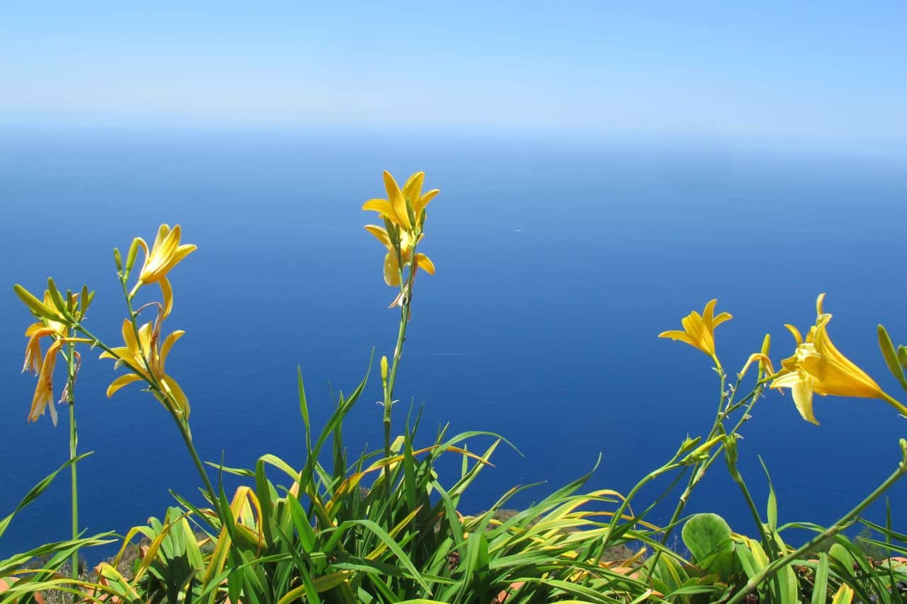 Calheta Blick auf den Atlantik