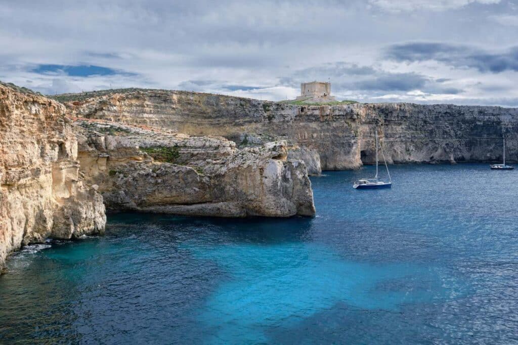 Comino karge Vegetation
