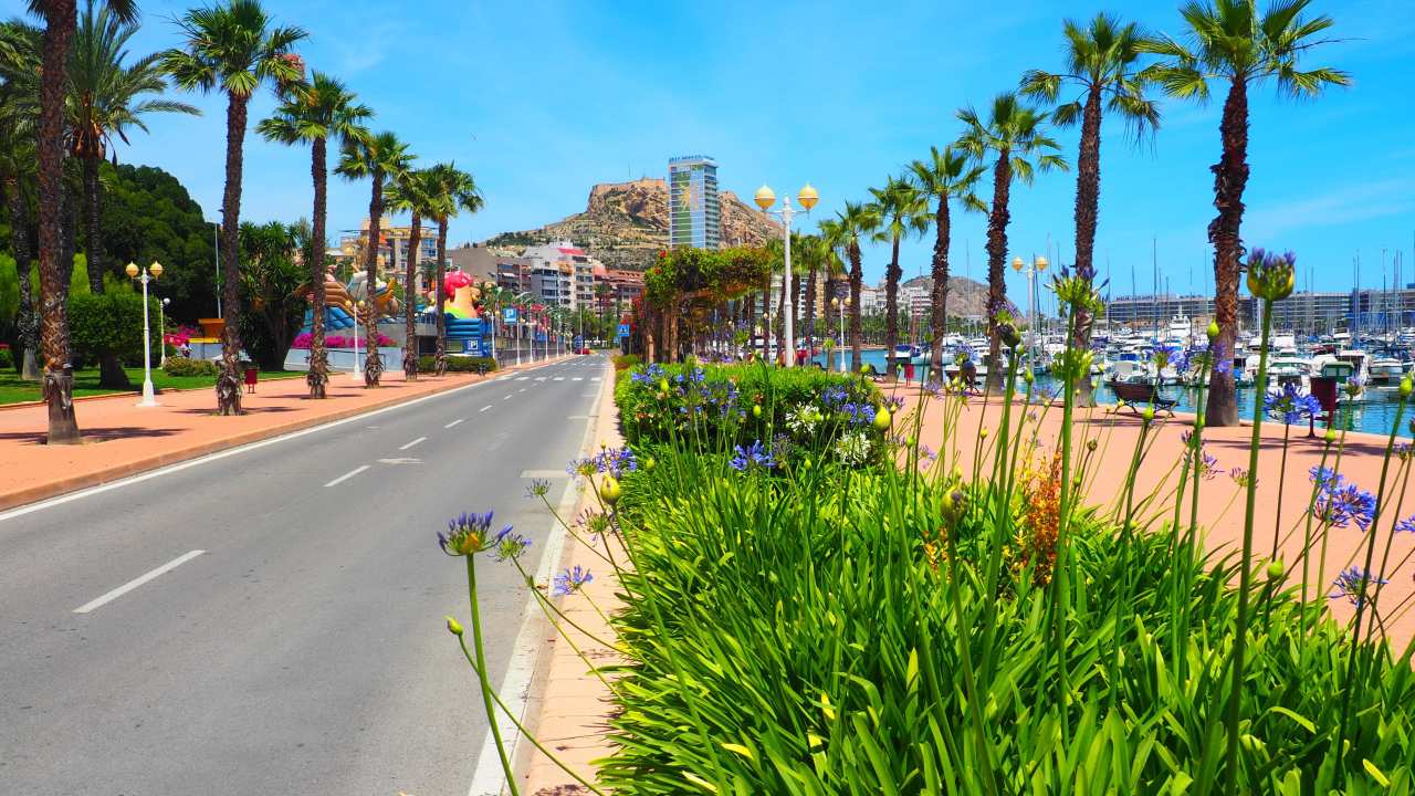Dénia gepflegte Straße und Promenade