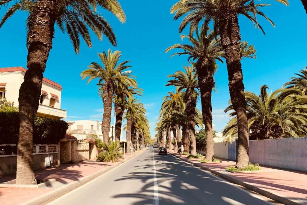 El Jadida gepflegte Palmenallee