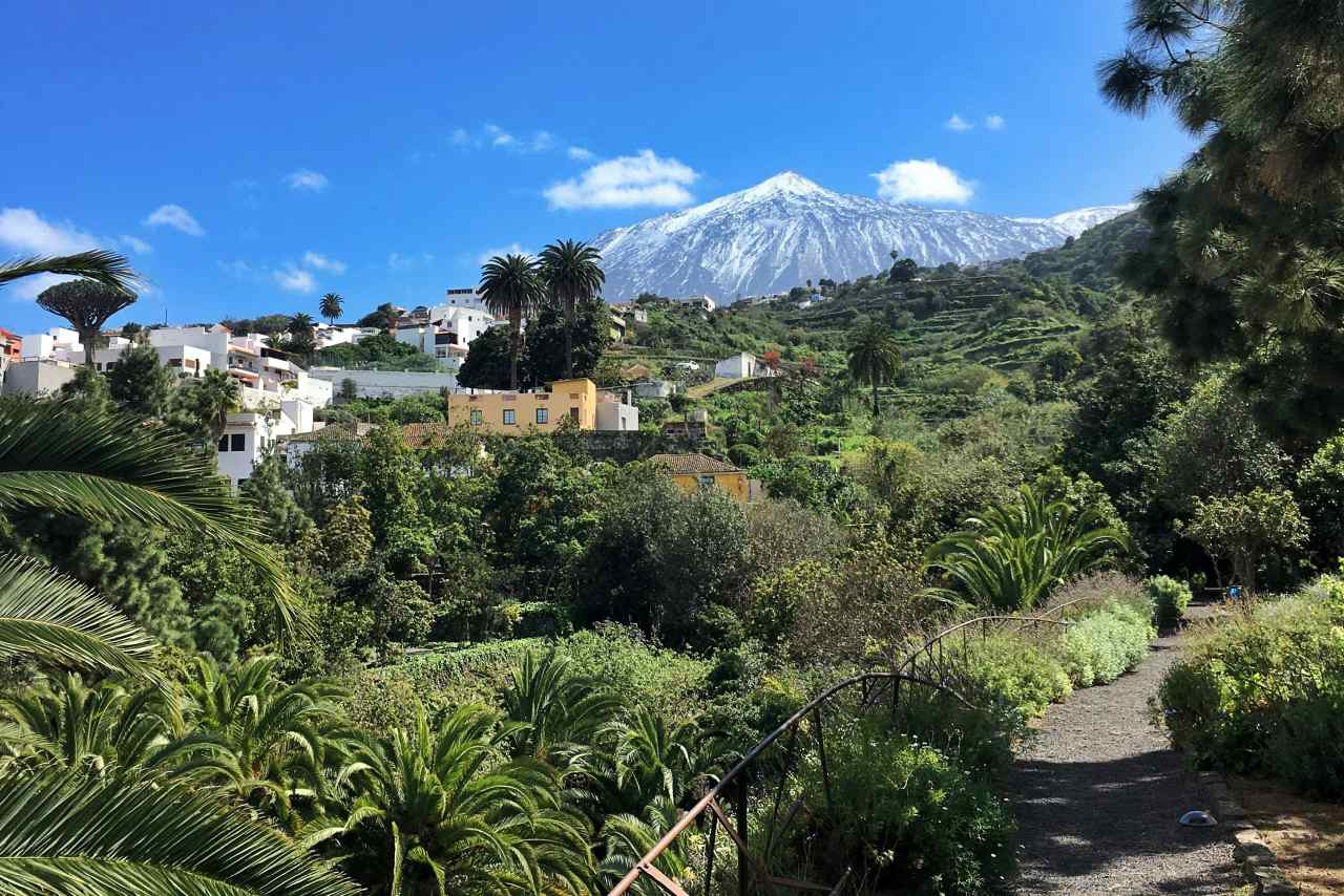 Grüner Nordosten Teneriffas mit Blick auf Teide