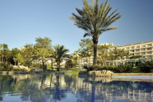 Grupotel Gran Vista & Spa Pool mit Palmen