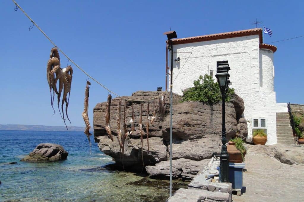 Kreatives Fische trocknen auf Lesbos