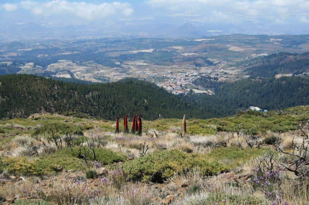La Escalona am Rande des Teide Nationalparks