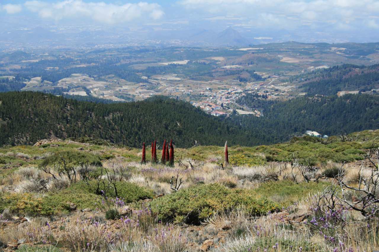 La Escalona am Rande des Teide Nationalparks