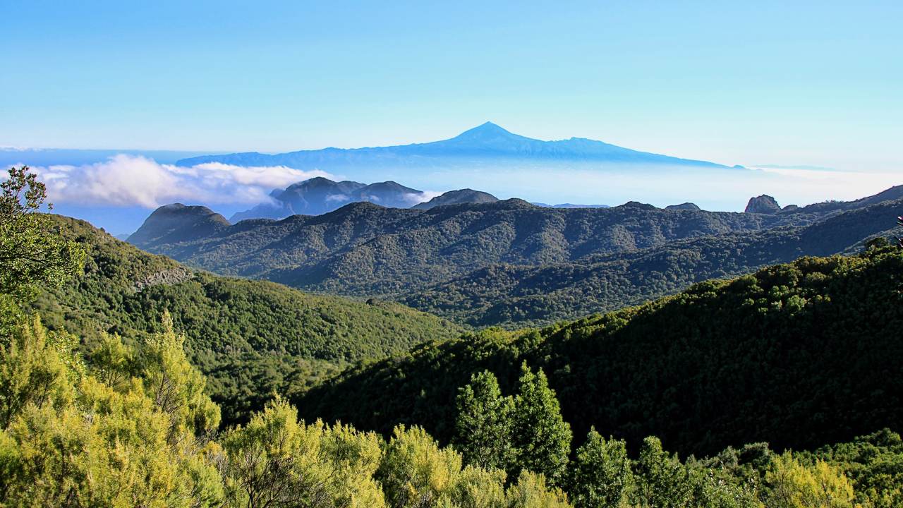 La Gomera Paradies für Naturfreunde