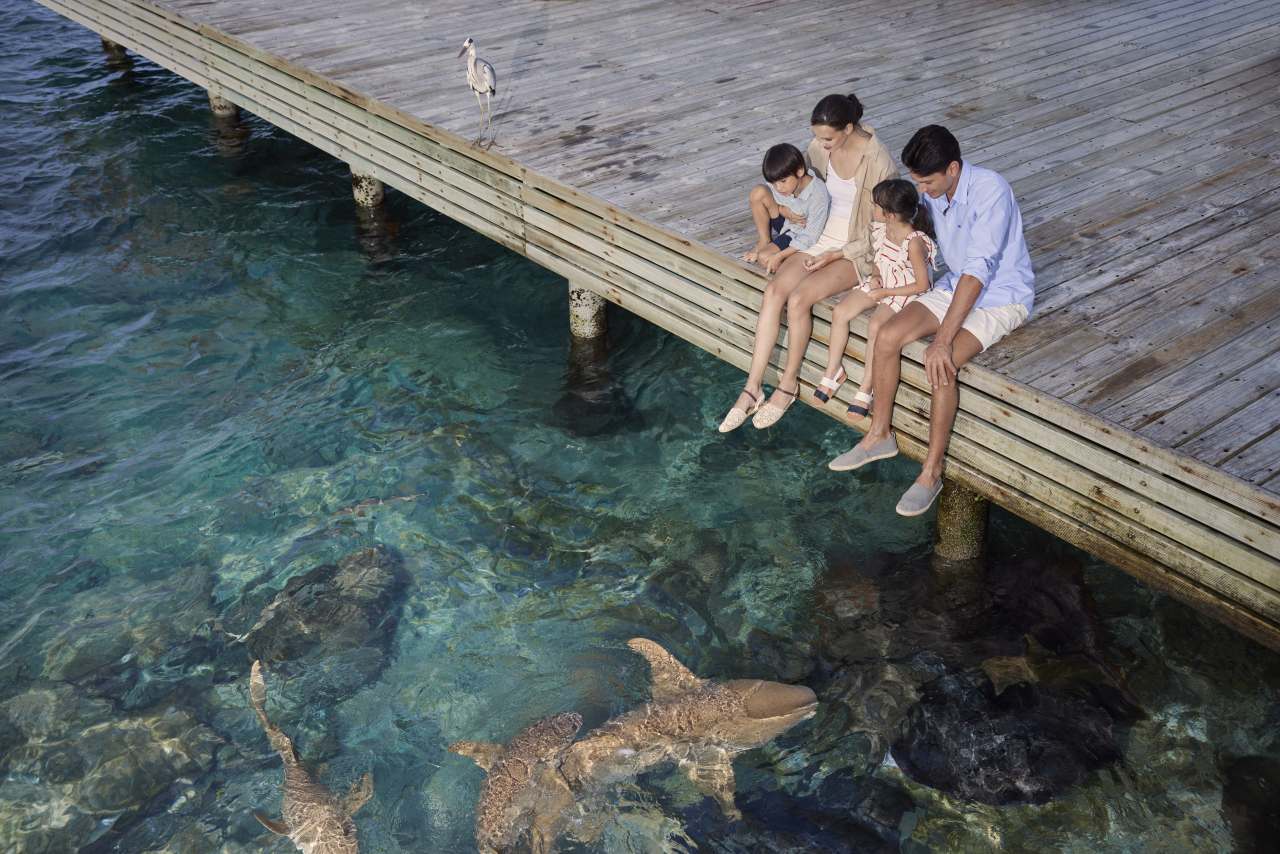 Machchafushi Island Resort Unterwasserwelt vom Steg beobachten