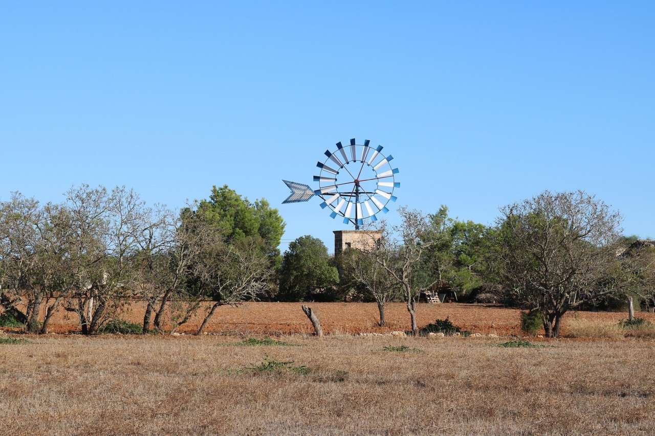 Mallorca Landschaft im Landesinneren