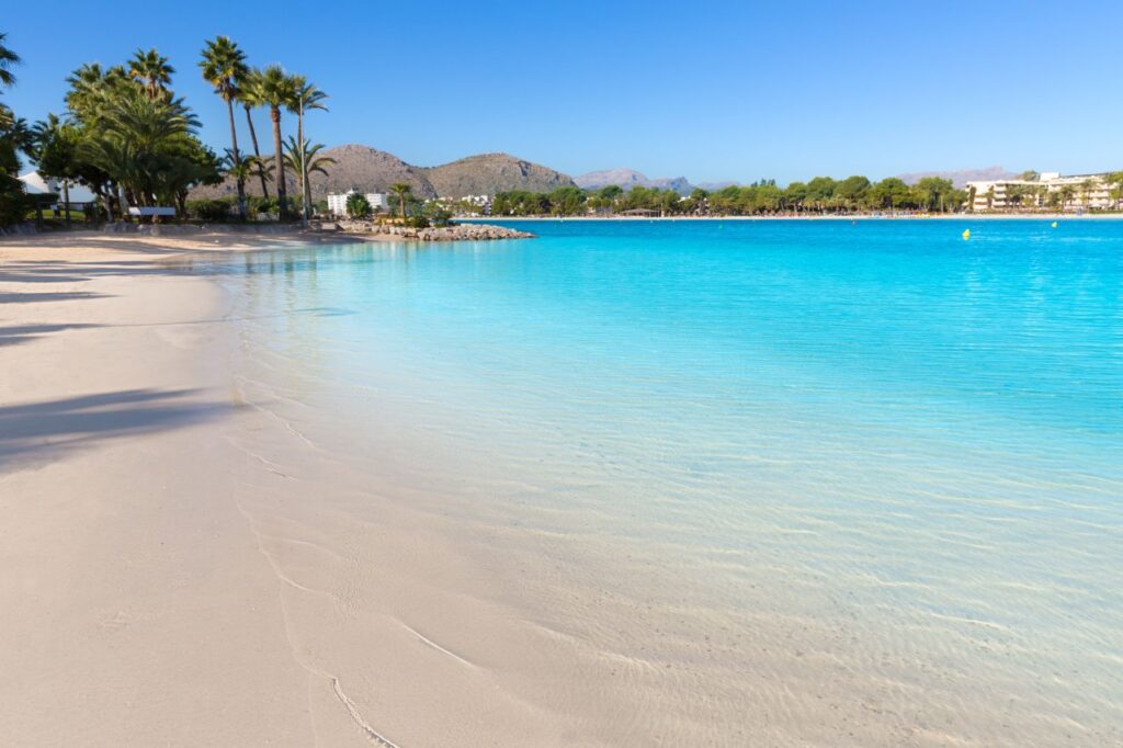 Mallorca Top Reiseziel bei alltours 2025