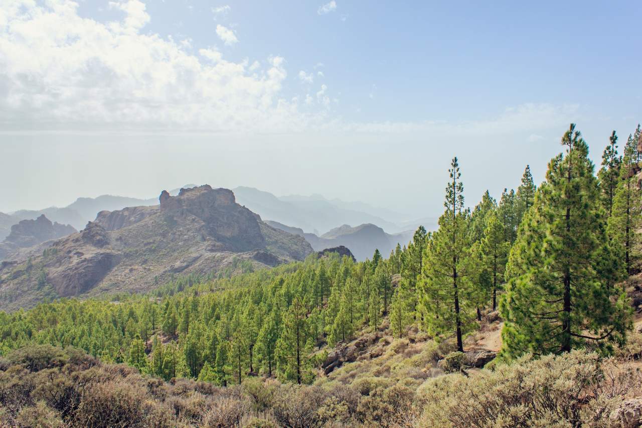 Naturlandschaft im Inselinneren von Gran Canaria
