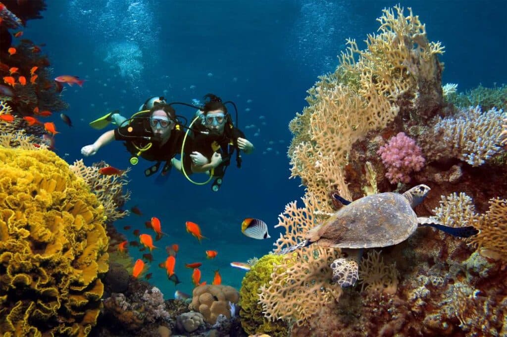 PADI AWARE Week 2025 im Avani+ Fares Maldives