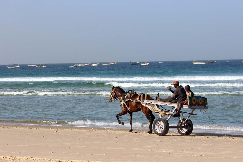 Pferdekarren am Strand in Senegal