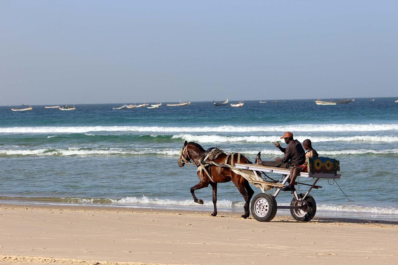 Pferdekarren am Strand in Senegal