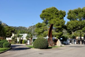 Pinienbäume in Costa de los Pinos