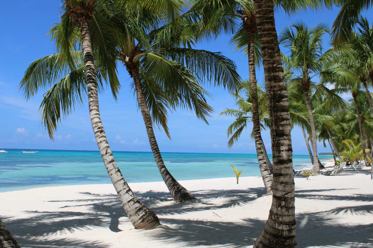 Punta Cana Traumstrand mit Palmen