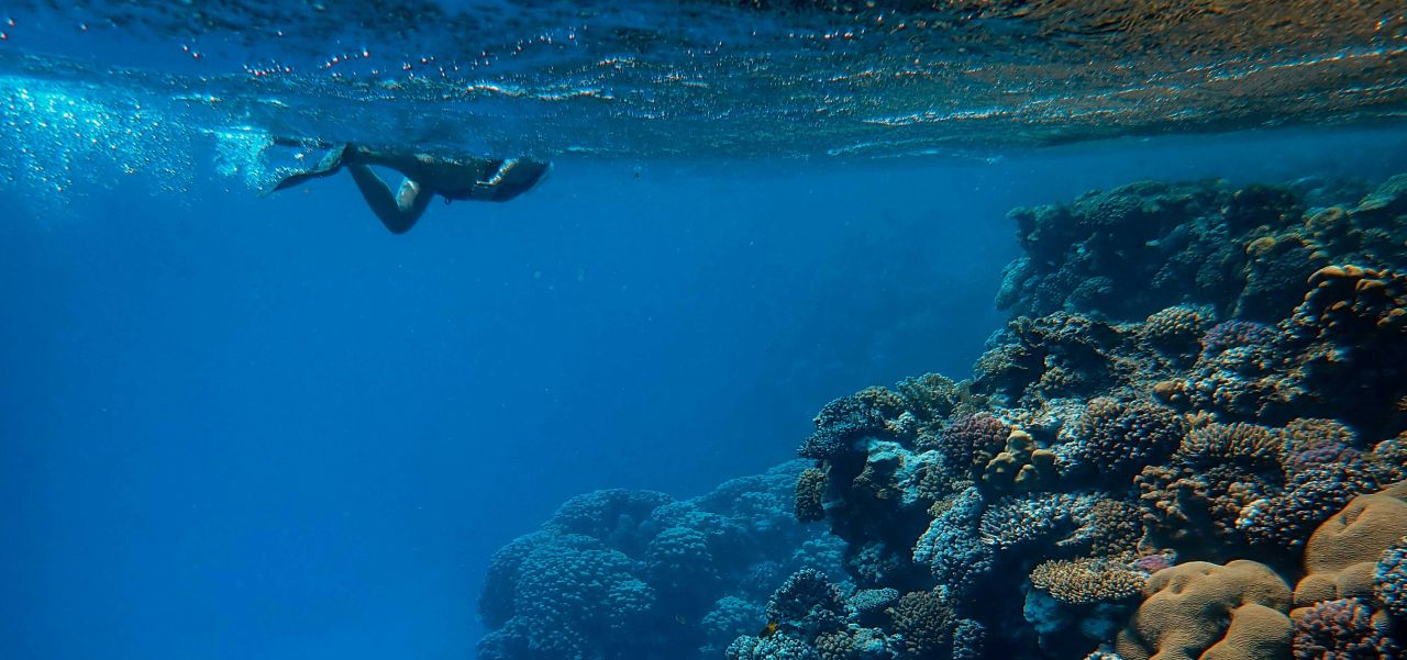 Ras Um El Sid Traum für Schnorchler