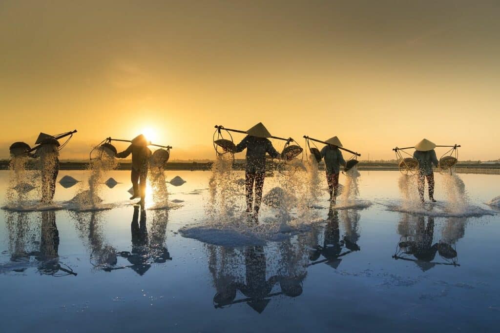 Salzernte in Vietnam bei Sonnenuntergang