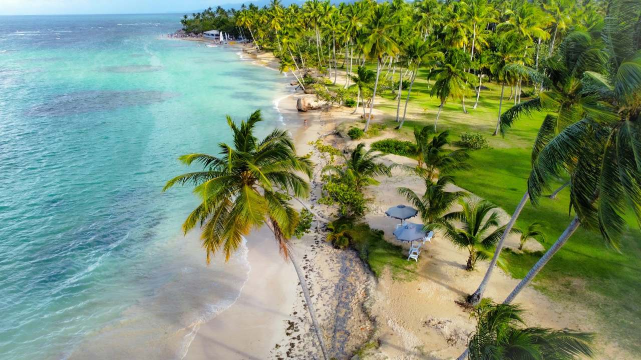 Samaná Traumkulisse Palmenstrand