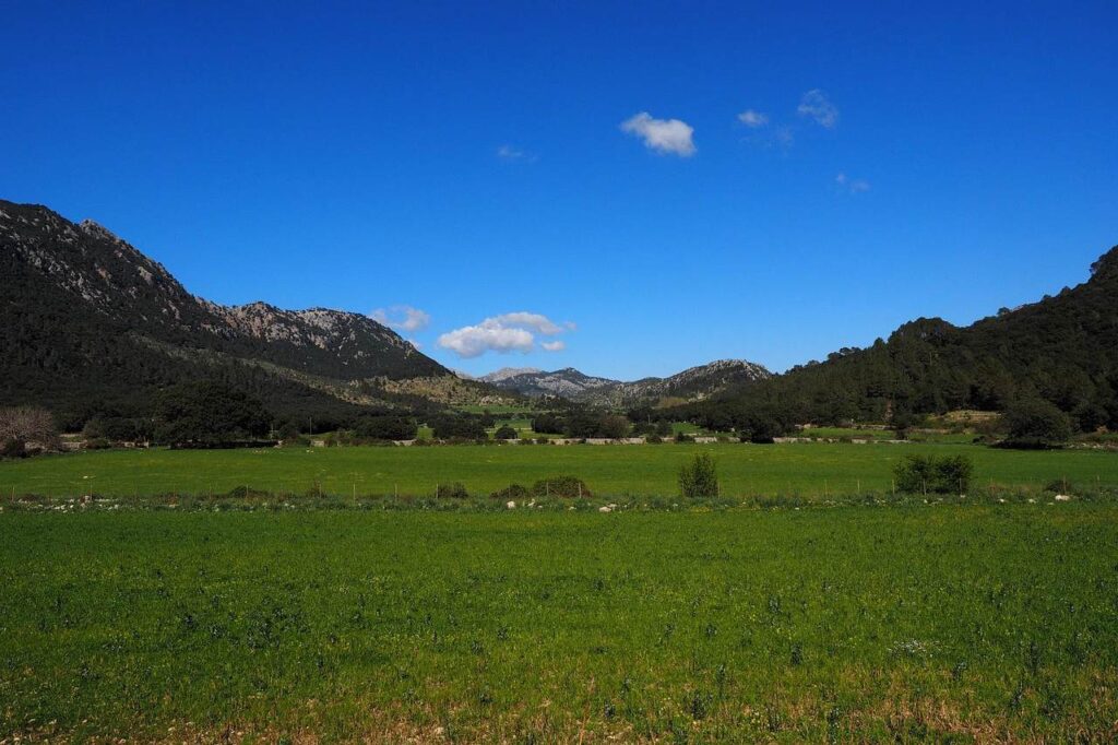 Tal von Orient auf Mallorca