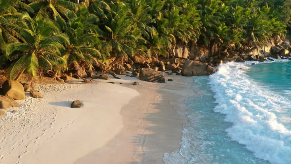 Traumstrand auf den Seychellen mit Palmen