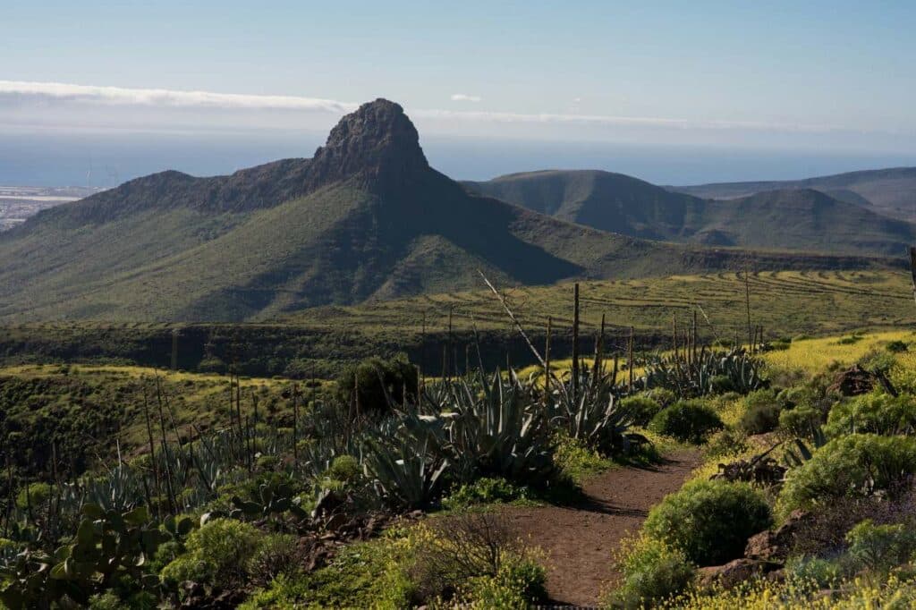 Vega de San Mateo grüne Mitte Gran Canaria