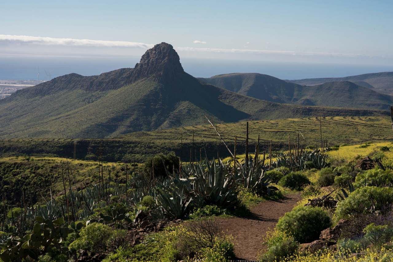 Vega de San Mateo grüne Mitte Gran Canaria