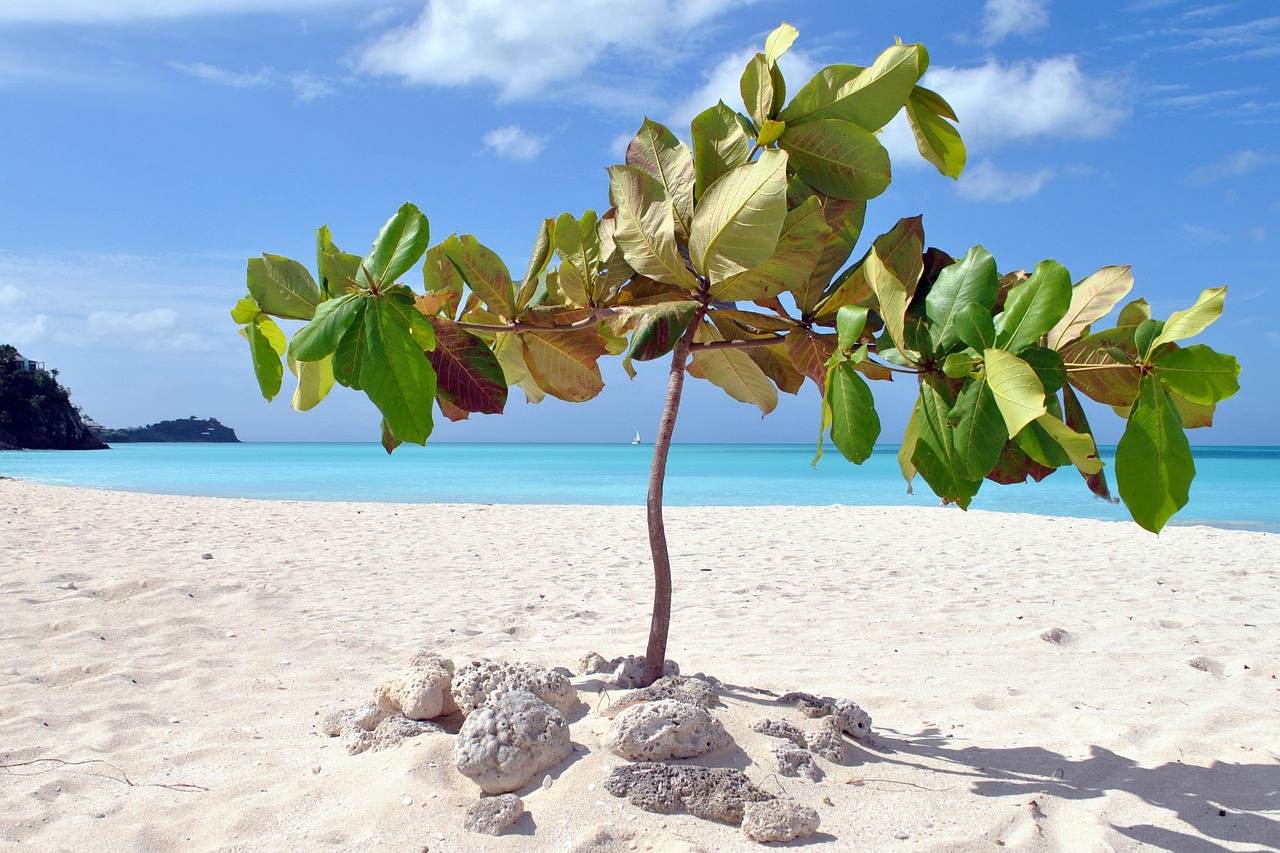 Weißer Traumstrand Antigua