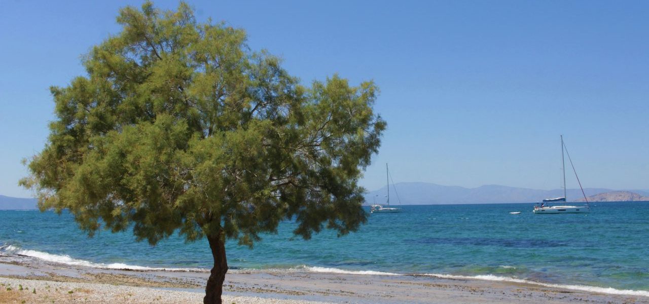 Angistri ruhige Insel im Saronischen Golf