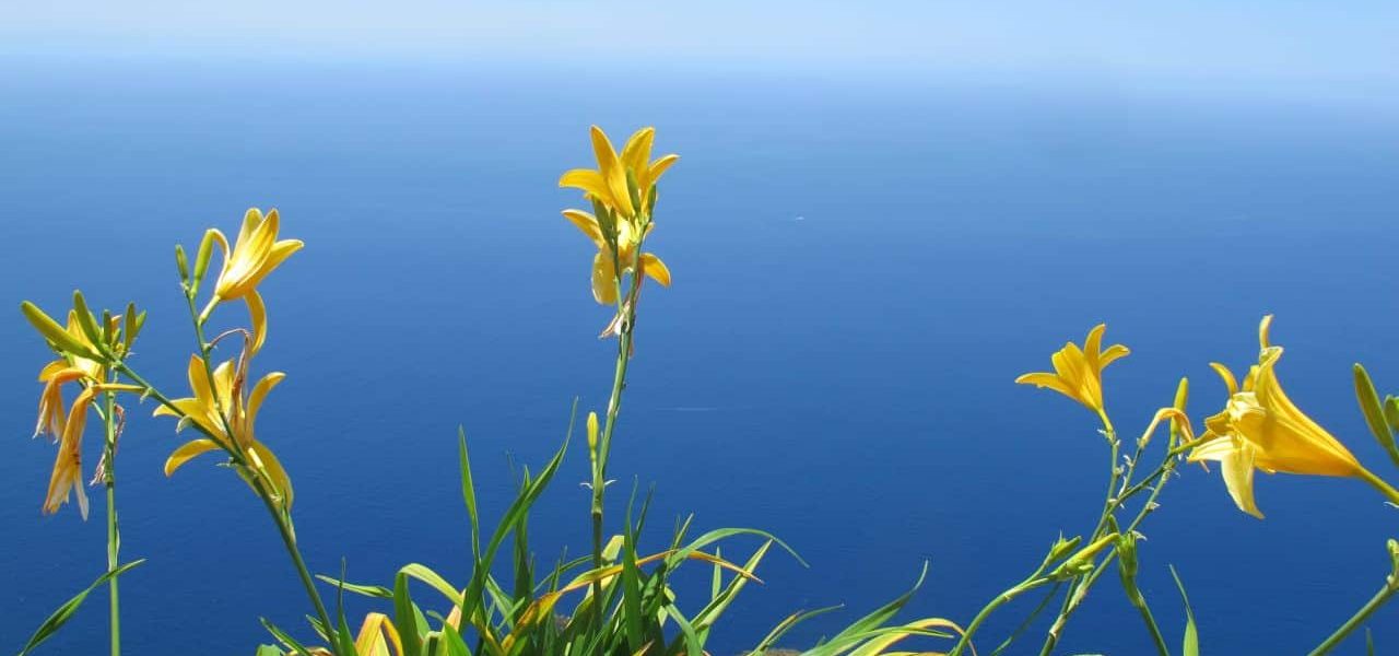 Calheta Blick auf den Atlantik