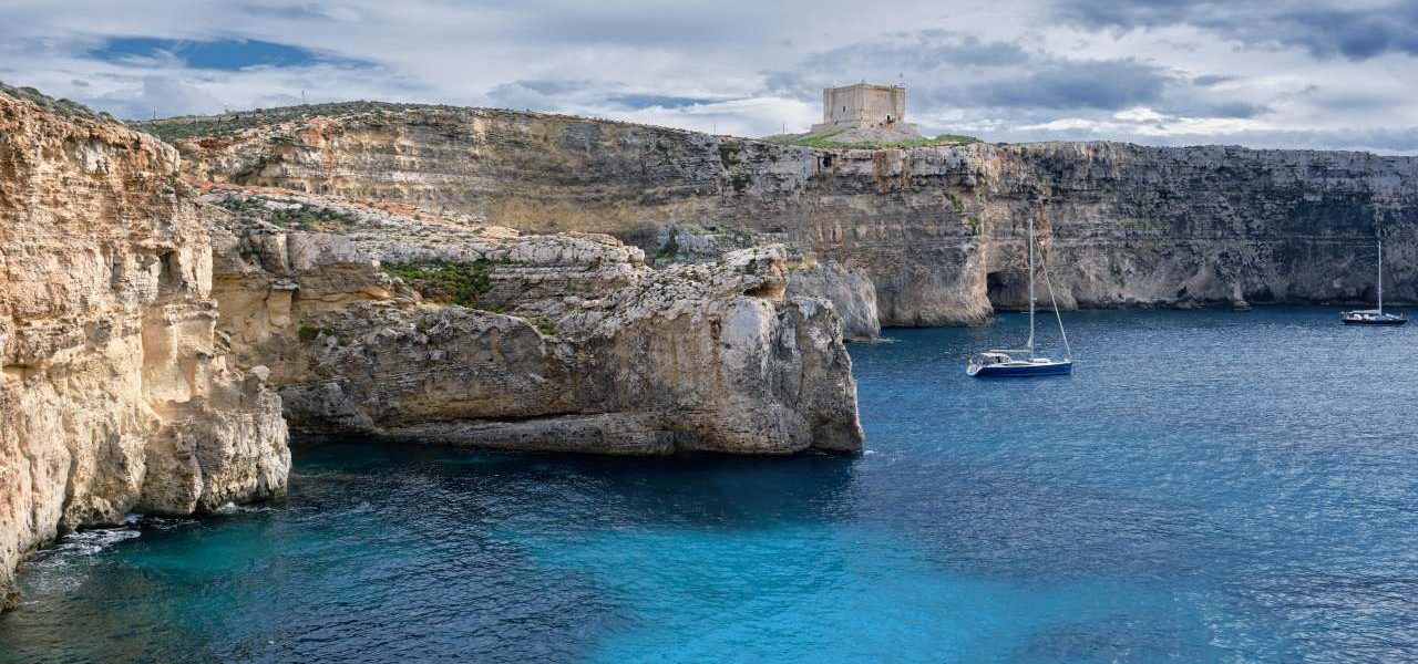 Comino karge Vegetation