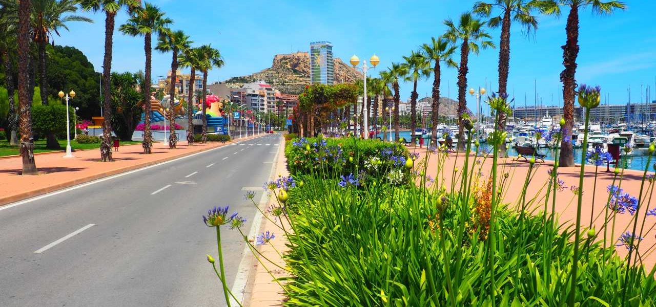 Dénia gepflegte Straße und Promenade