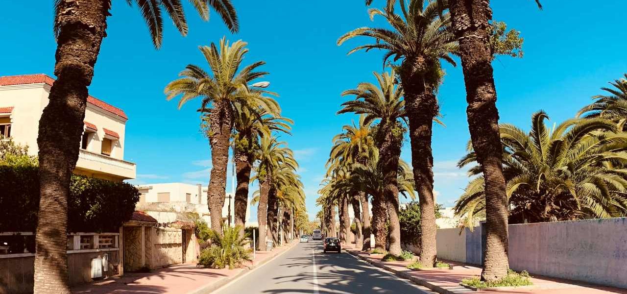 El Jadida gepflegte Palmenallee