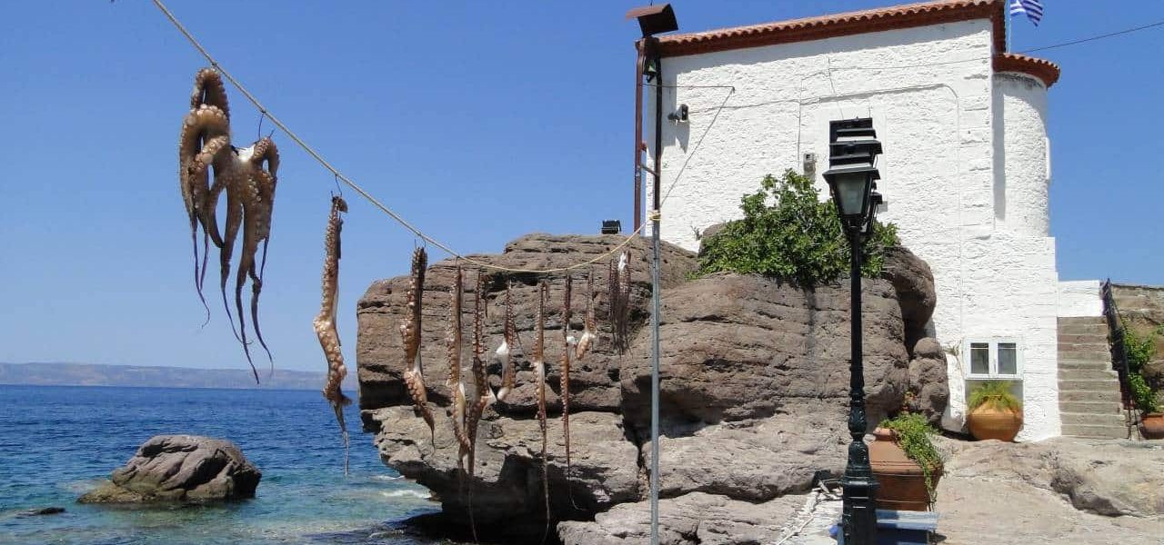 Kreatives Fische trocknen auf Lesbos