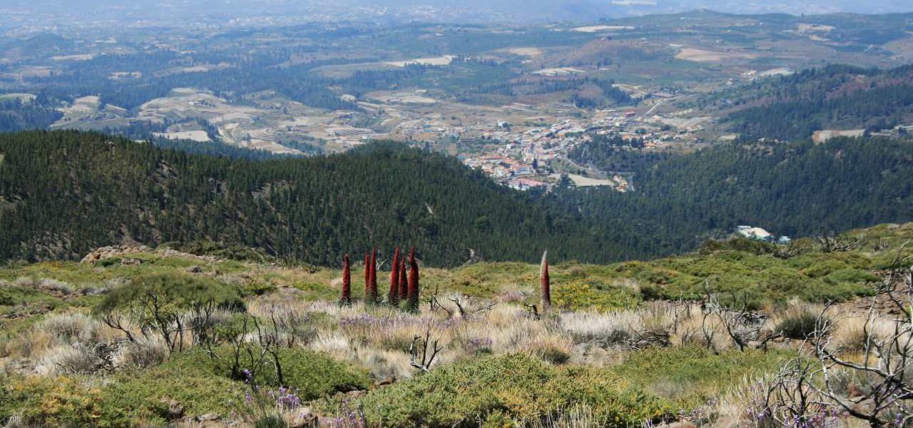 La Escalona am Rande des Teide Nationalparks