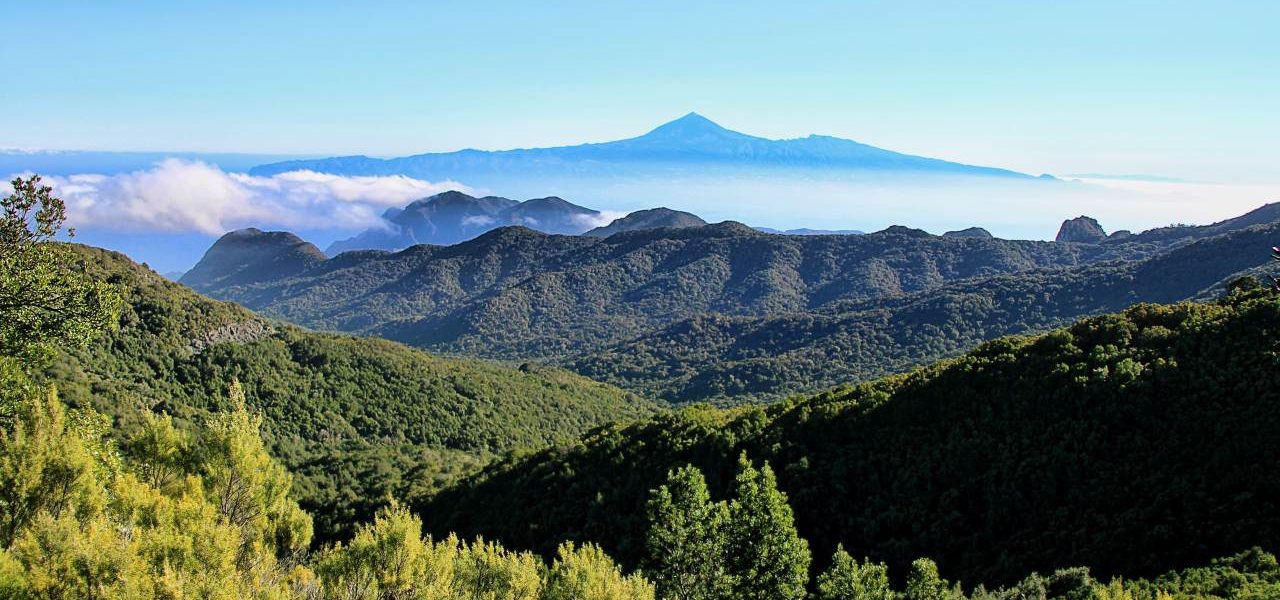 La Gomera Paradies für Naturfreunde