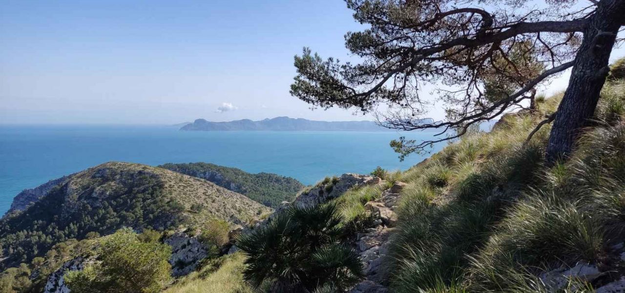 Landschaft Südwesten Mallorca Meerblick Landschaft Südwesten Mallorca Meerblick