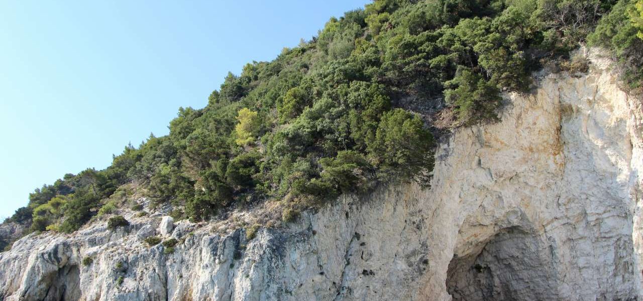 Limni Keriou grüne Umgebung mit vielen Kiefern