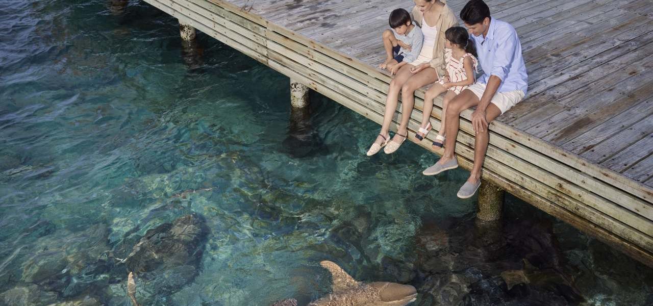 Machchafushi Island Resort Unterwasserwelt vom Steg beobachten Machchafushi Island Resort Unterwasserwelt vom Steg beobachten