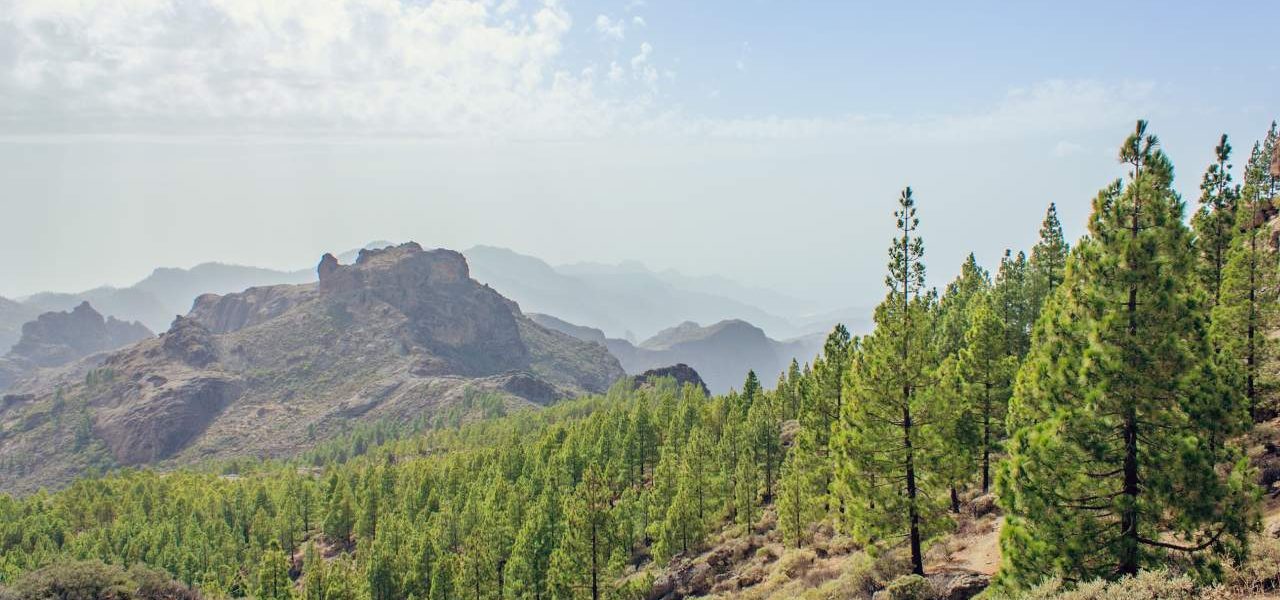 Naturlandschaft im Inselinneren von Gran Canaria