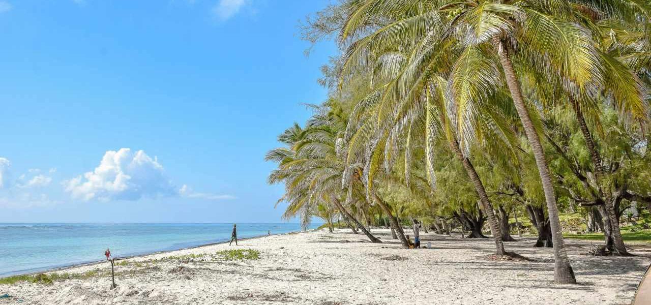 Palmenstrand an Kenias Nordküste