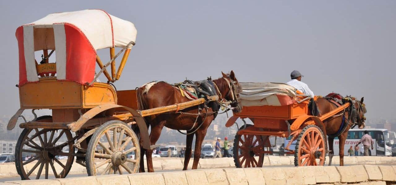 Pferdekutsche in Kairo
