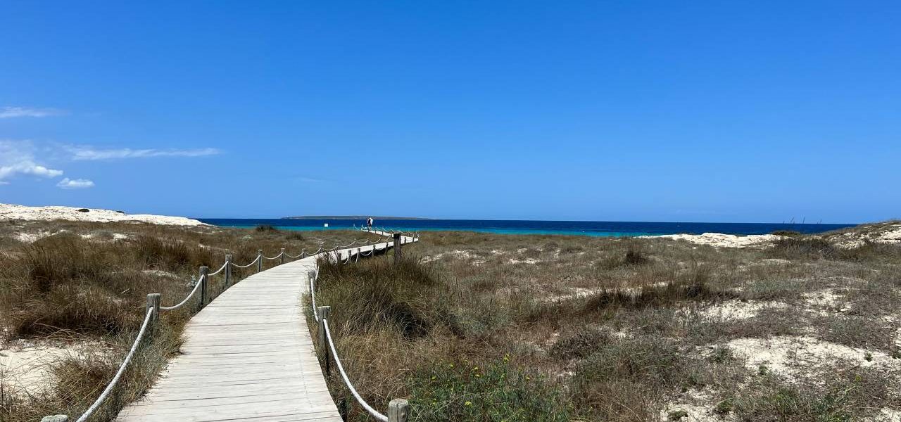 Playa de Migjorn Holzsteg durch die Dünen