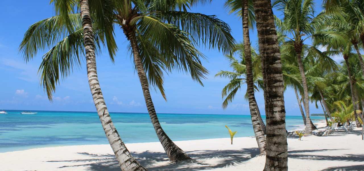 Punta Cana Traumstrand mit Palmen