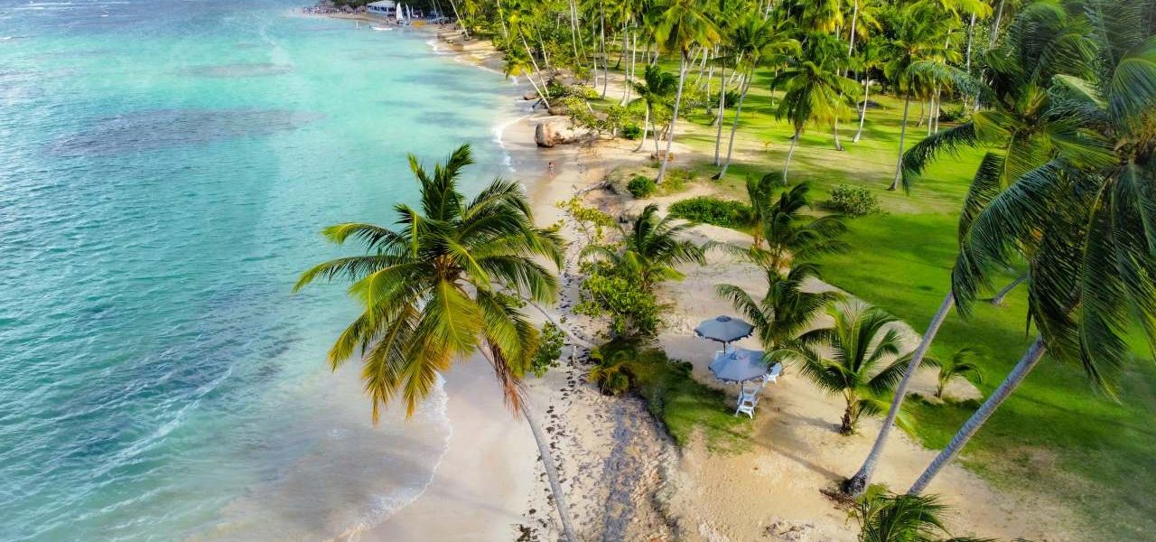 Samaná Traumkulisse Palmenstrand