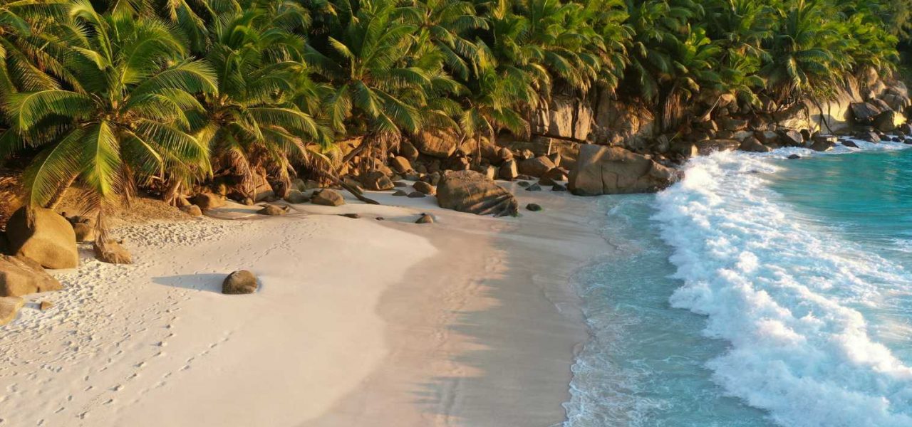 Traumstrand auf den Seychellen mit Palmen