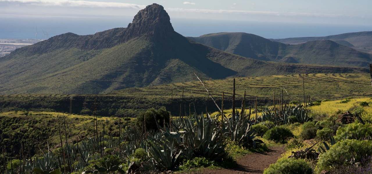 Vega de San Mateo grüne Mitte Gran Canaria
